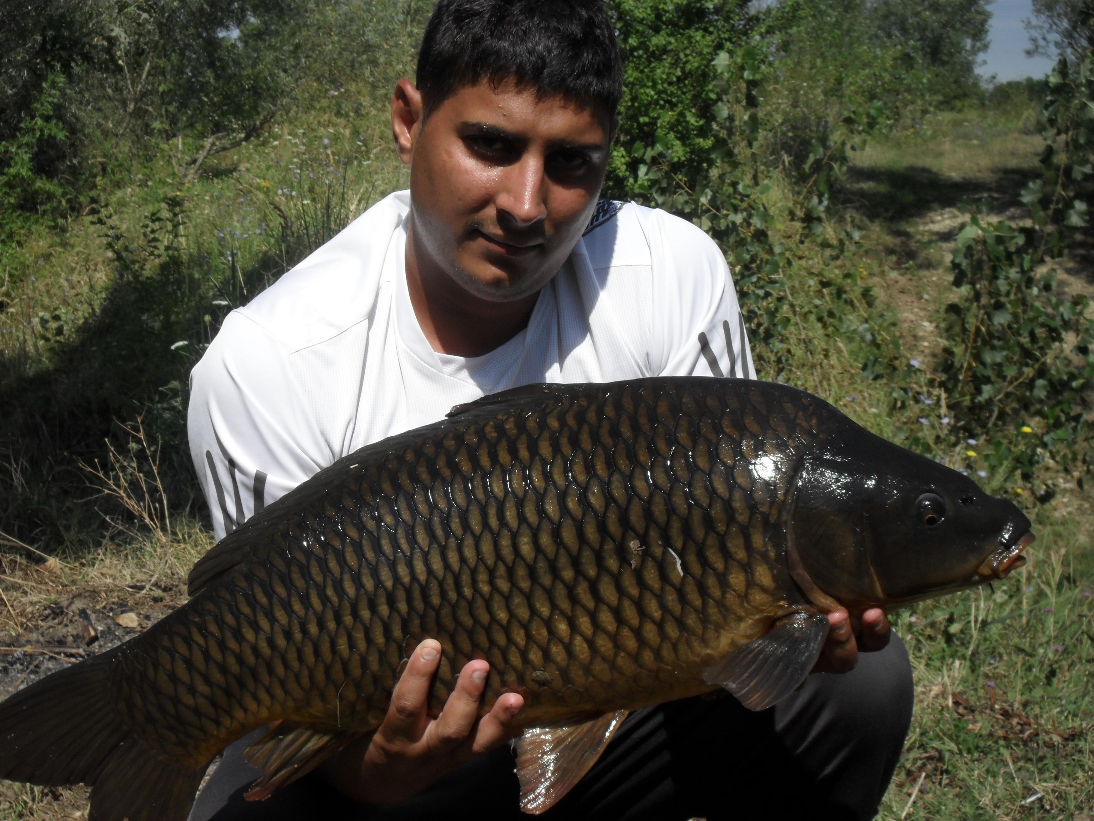 balastiera pescarusu fratelo - SAM_0384.JPG